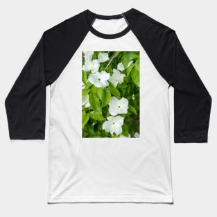 White Dogwood Flowers. Baseball T-Shirt